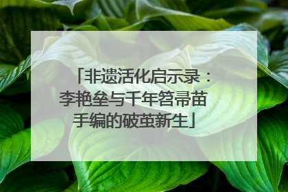 非遗活化启示录：李艳垒与千年笤帚苗手编的破茧新生