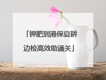 钾肥到港保夏耕 边检高效助通关