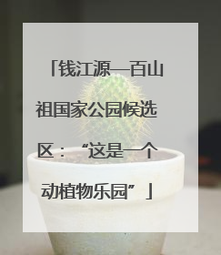 钱江源—百山祖国家公园候选区：“这是一个动植物乐园”