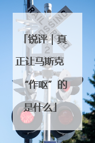 锐评｜真正让马斯克“作呕”的是什么