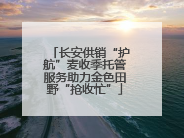 长安供销“护航”麦收季托管服务助力金色田野“抢收忙”
