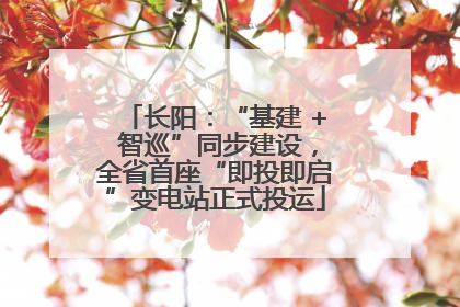 长阳：“基建 + 智巡”同步建设，全省首座“即投即启”变电站正式投运