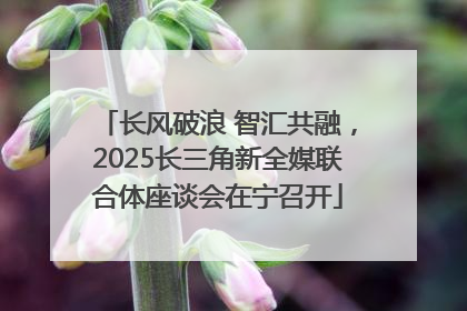 长风破浪 智汇共融，2025长三角新全媒联合体座谈会在宁召开