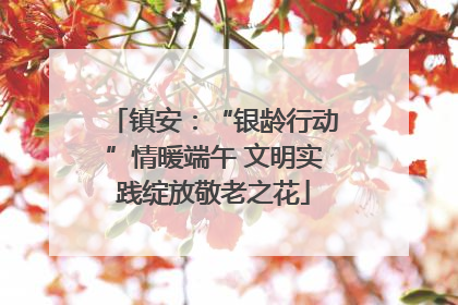 镇安：“银龄行动”情暖端午 文明实践绽放敬老之花