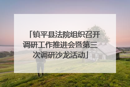 镇平县法院组织召开调研工作推进会暨第三次调研沙龙活动