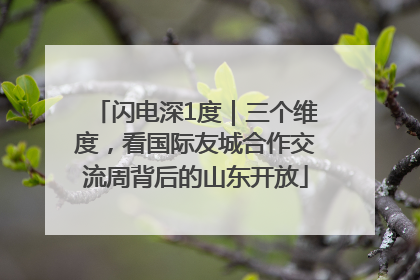 闪电深1度｜三个维度，看国际友城合作交流周背后的山东开放