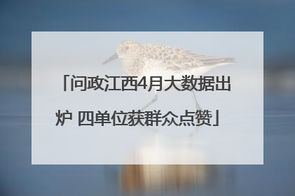 问政江西4月大数据出炉 四单位获群众点赞