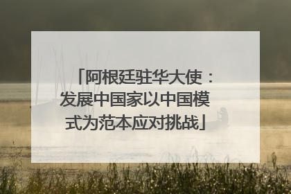阿根廷驻华大使：发展中国家以中国模式为范本应对挑战