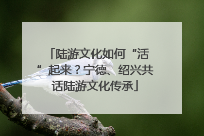 陆游文化如何“活 ”起来？宁德、绍兴共话陆游文化传承