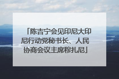 陈吉宁会见印尼大印尼行动党秘书长、人民协商会议主席穆扎尼