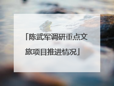 陈武军调研重点文旅项目推进情况