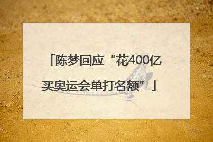 陈梦回应“花400亿买奥运会单打名额”
