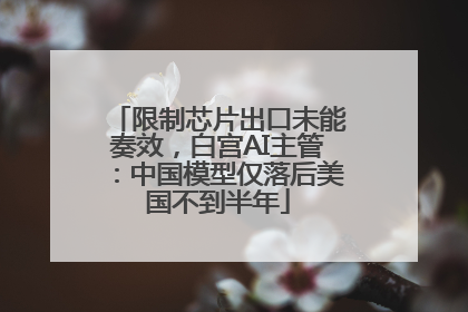 限制芯片出口未能奏效，白宫AI主管：中国模型仅落后美国不到半年