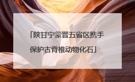 陕甘宁蒙晋五省区携手保护古脊椎动物化石