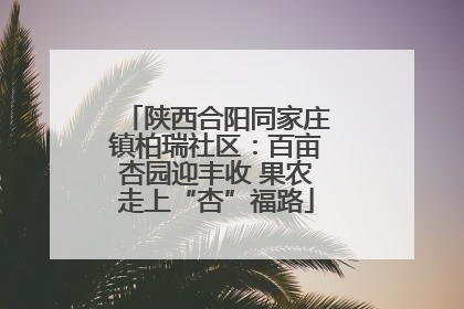 陕西合阳同家庄镇柏瑞社区：百亩杏园迎丰收 果农走上“杏”福路
