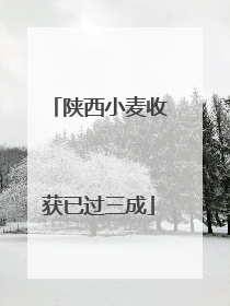 陕西小麦收获已过三成