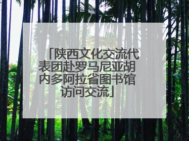 陕西文化交流代表团赴罗马尼亚胡内多阿拉省图书馆访问交流