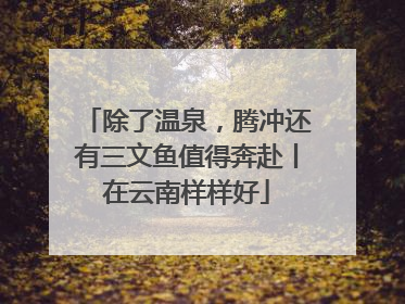 除了温泉，腾冲还有三文鱼值得奔赴丨在云南样样好