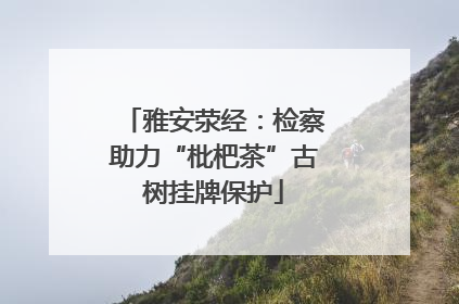 雅安荥经：检察助力“枇杷茶”古树挂牌保护