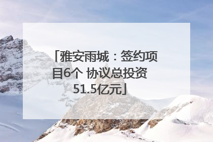 雅安雨城：签约项目6个 协议总投资51.5亿元