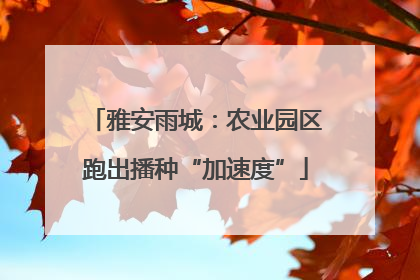 雅安雨城：农业园区跑出播种“加速度”