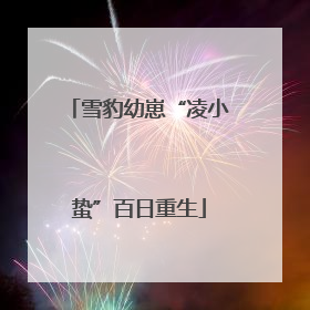 雪豹幼崽“凌小蛰”百日重生
