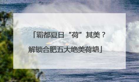 霸都夏日“荷”其美？解锁合肥五大绝美荷塘