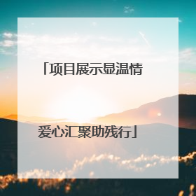 项目展示显温情 爱心汇聚助残行