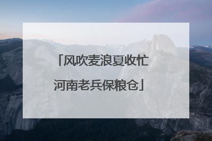 风吹麦浪夏收忙 河南老兵保粮仓