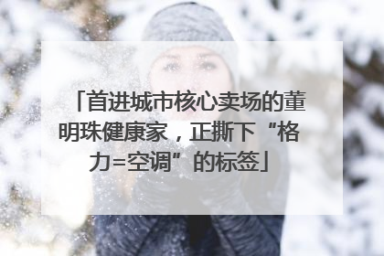 首进城市核心卖场的董明珠健康家，正撕下“格力=空调”的标签