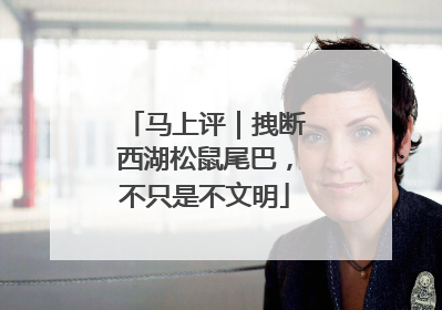 马上评｜拽断西湖松鼠尾巴，不只是不文明