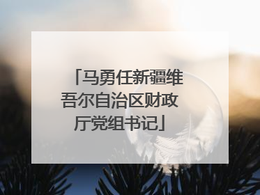 马勇任新疆维吾尔自治区财政厅党组书记