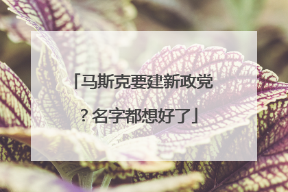 马斯克要建新政党？名字都想好了