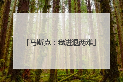 马斯克：我进退两难