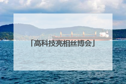 高科技亮相丝博会