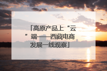 高原产品上“云”端——西藏电商发展一线观察