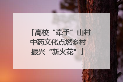 高校“牵手”山村 中药文化点燃乡村振兴“新火花”