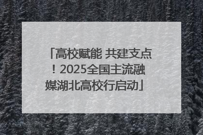 高校赋能 共建支点！2025全国主流融媒湖北高校行启动