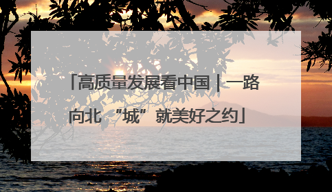 高质量发展看中国｜一路向北 “城”就美好之约