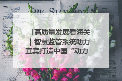 高质量发展看海关｜智慧监管系统助力宜宾打造中国“动力电池之都”