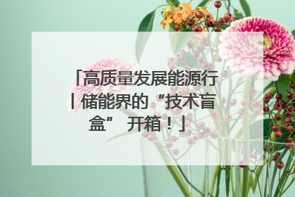 高质量发展能源行丨储能界的“技术盲盒” 开箱！