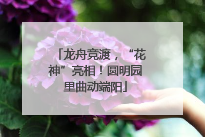 龙舟竞渡，“花神”亮相！圆明园里曲动端阳