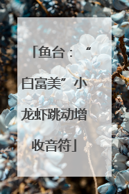 鱼台：“白富美”小龙虾跳动增收音符
