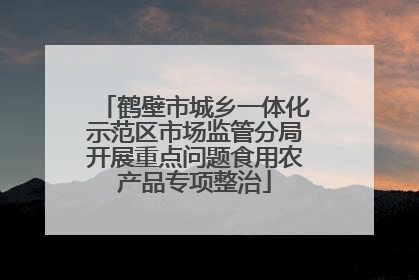 鹤壁市城乡一体化示范区市场监管分局开展重点问题食用农产品专项整治