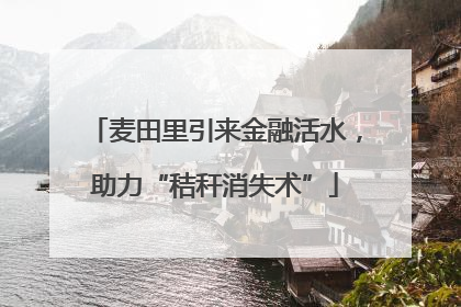 麦田里引来金融活水，助力“秸秆消失术”