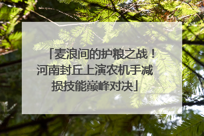 麦浪间的护粮之战！河南封丘上演农机手减损技能巅峰对决