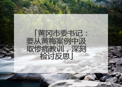 黄冈市委书记：要从黄梅案例中汲取惨痛教训，深刻检讨反思