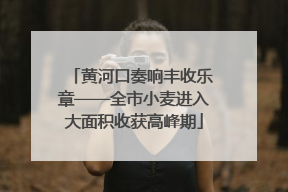 黄河口奏响丰收乐章——全市小麦进入大面积收获高峰期