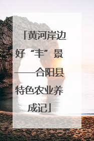 黄河岸边好“丰”景——合阳县特色农业养成记