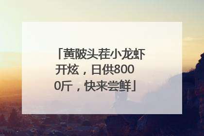 黄陂头茬小龙虾开炫，日供8000斤，快来尝鲜